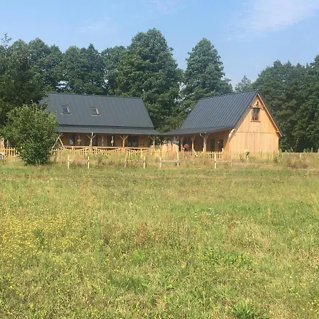 公寓 Lesne Ranczo Miedzychod