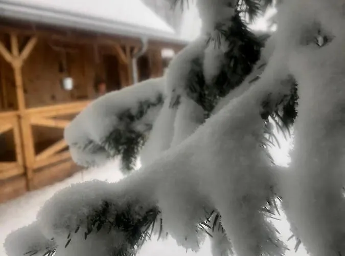 Apartment Lesne Ranczo